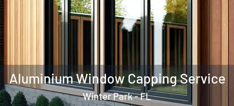  Aluminium Window Capping Service Winter Park - FL