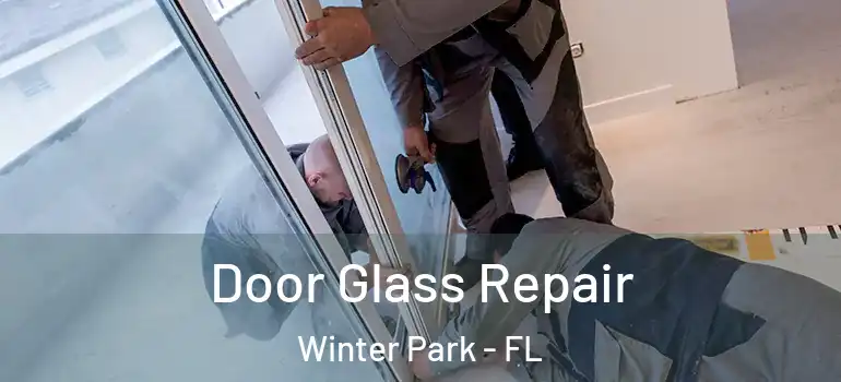  Door Glass Repair Winter Park - FL