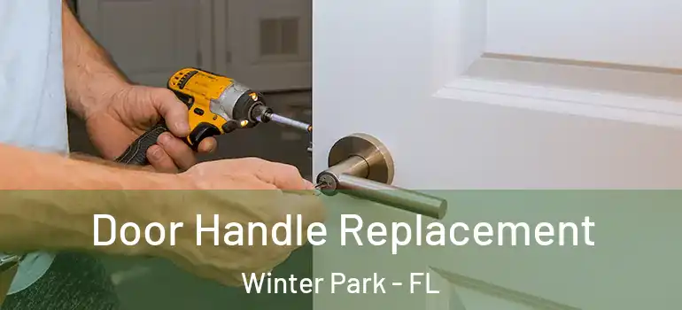  Door Handle Replacement Winter Park - FL