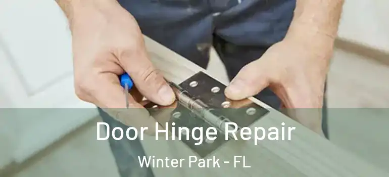  Door Hinge Repair Winter Park - FL