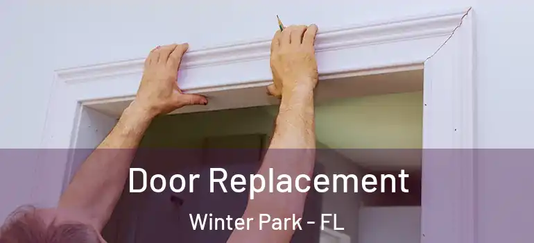  Door Replacement Winter Park - FL
