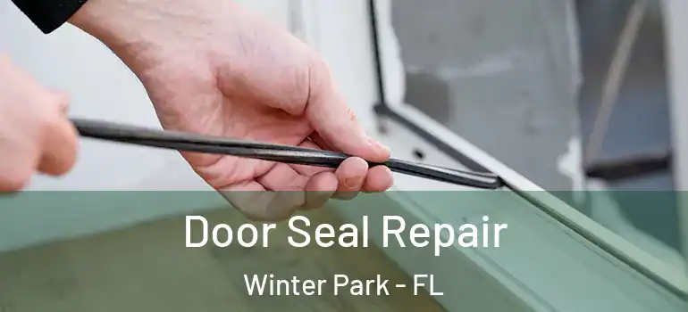  Door Seal Repair Winter Park - FL