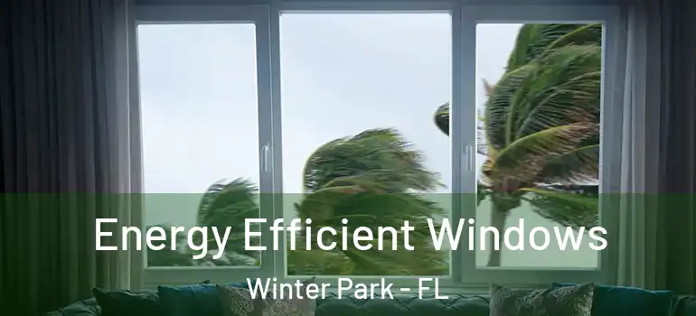  Energy Efficient Windows Winter Park - FL