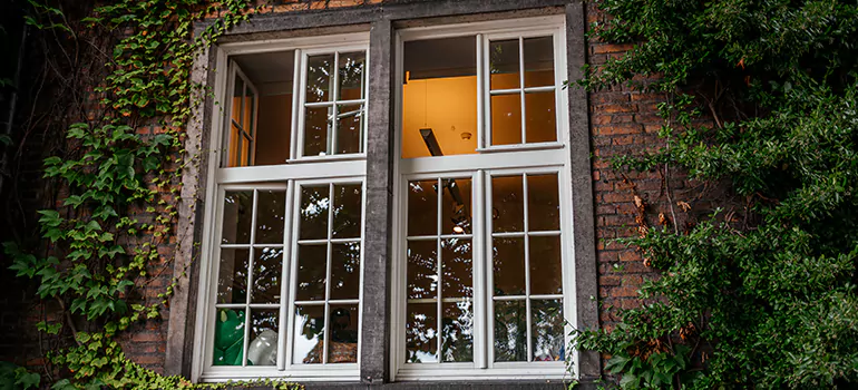 Energy Efficient Wood Windows in Winter Park, FL