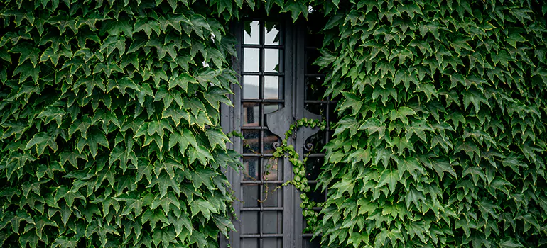 Garden Gate Repair in Winter Park, FL