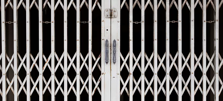 Steel Line Garage Door Repairs in Winter Park, FL