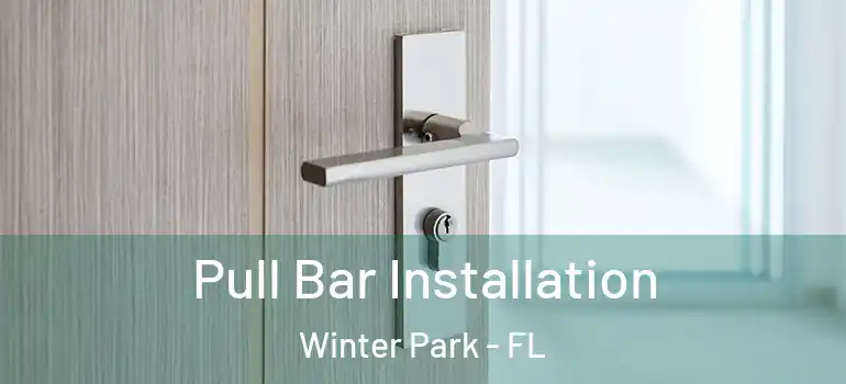  Pull Bar Installation Winter Park - FL