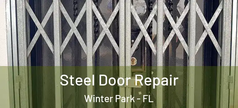  Steel Door Repair Winter Park - FL