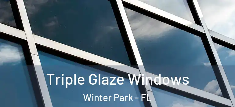  Triple Glaze Windows Winter Park - FL