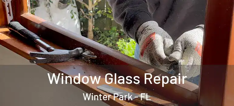  Window Glass Repair Winter Park - FL