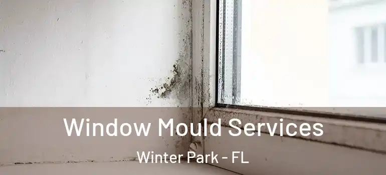  Window Mould Services Winter Park - FL