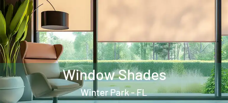  Window Shades Winter Park - FL